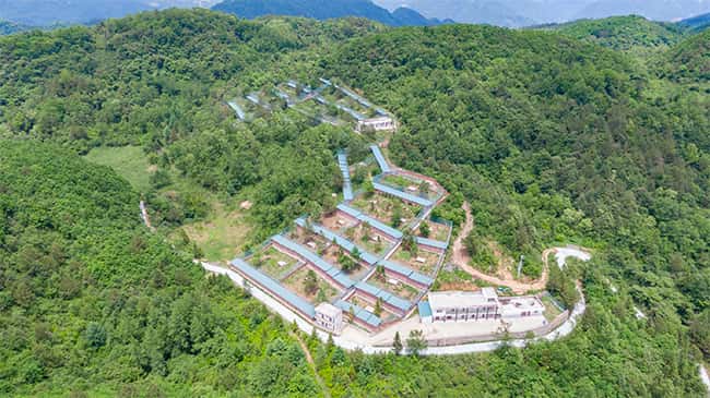 旺苍县彩乐园林麝养殖科技有限公司