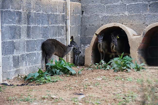 彩乐园·(中国区)官方网站