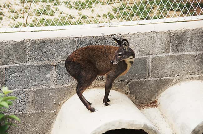 彩乐园·(中国区)官方网站