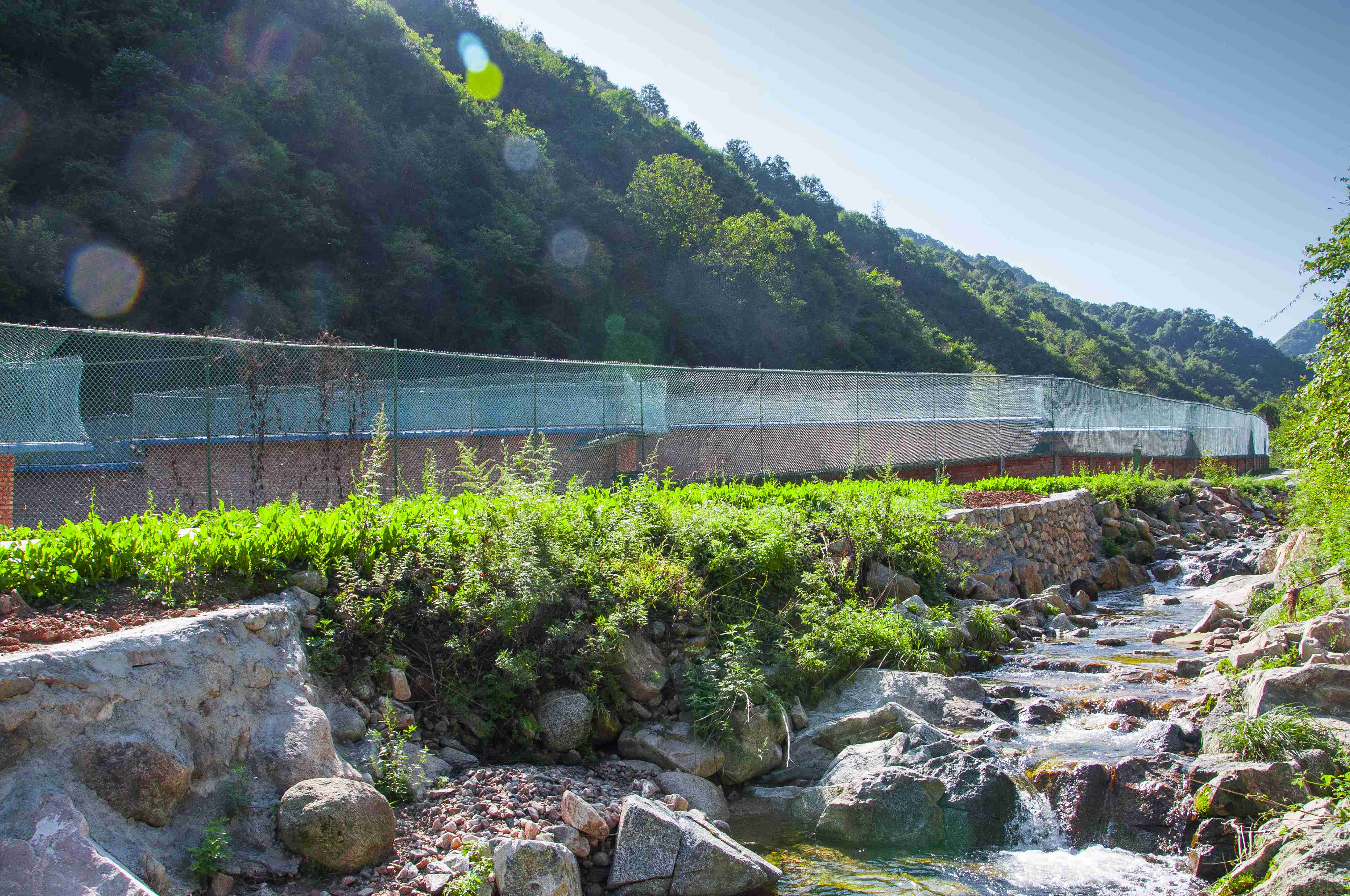 彩乐园·(中国区)官方网站