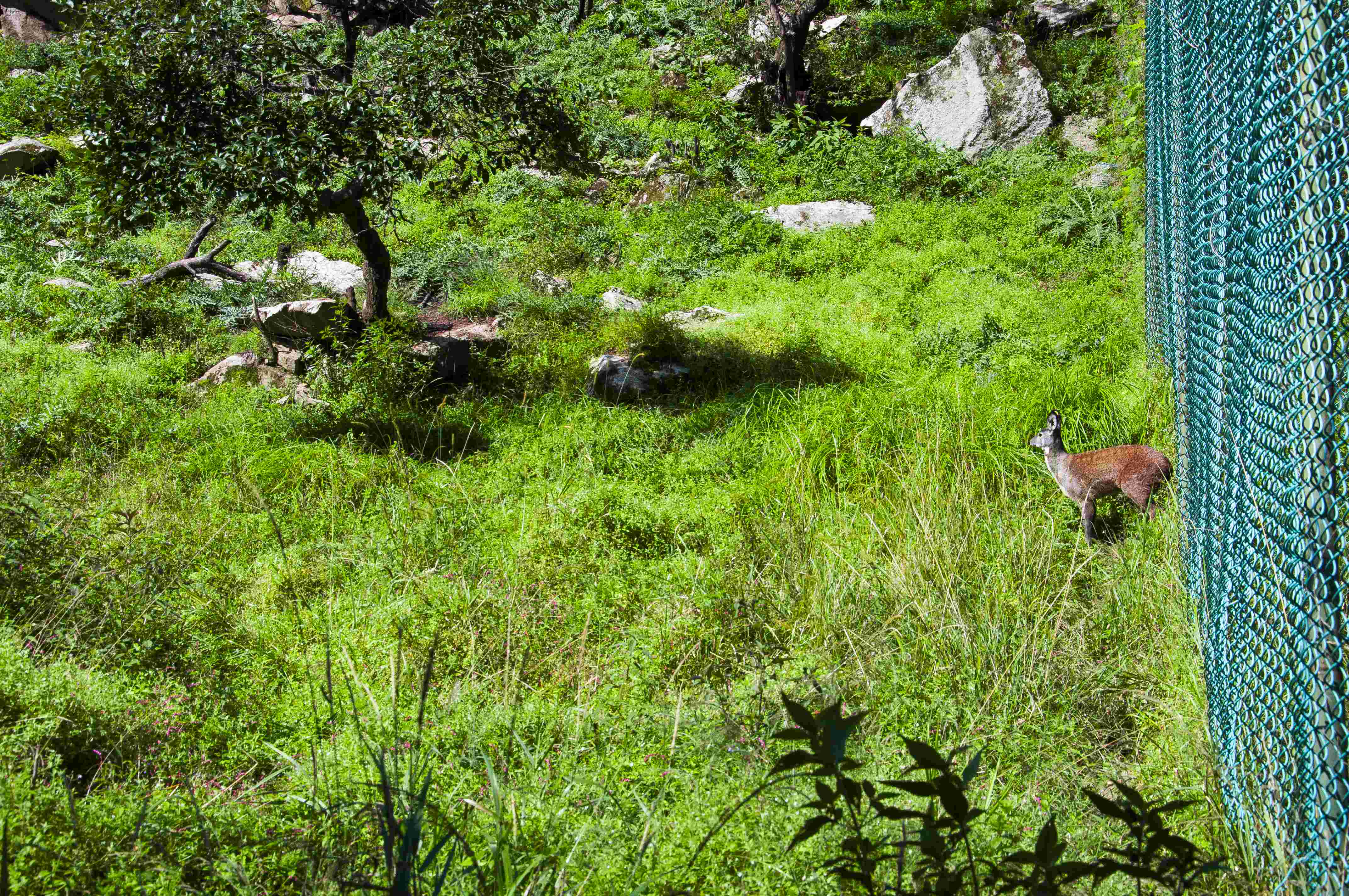 彩乐园·(中国区)官方网站